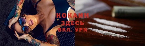 молекула духа Абинск