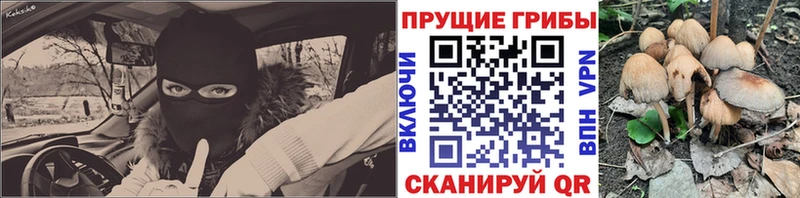 Галлюциногенные грибы Cubensis МЕГА ссылка Нижняя Тура